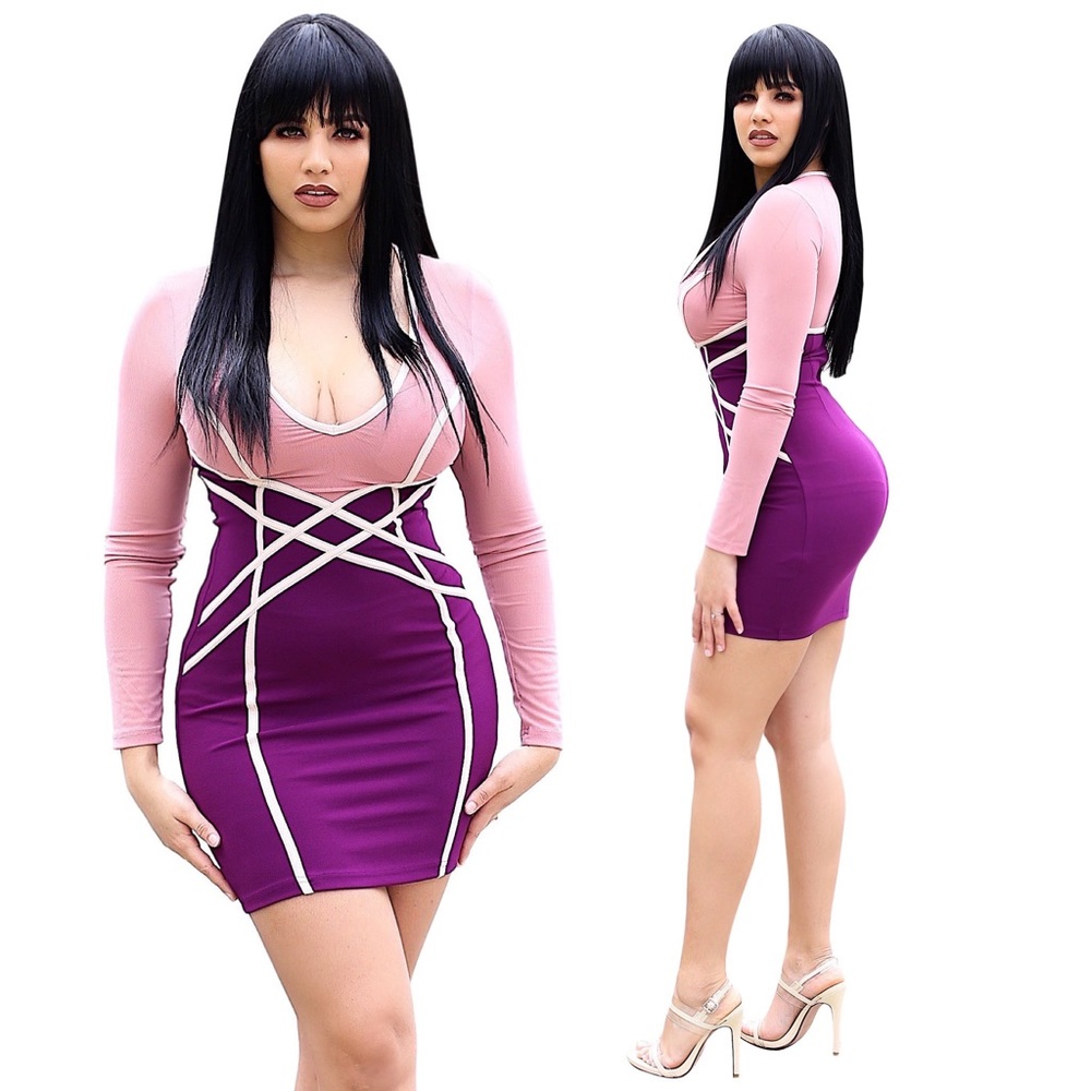 Color Block Mesh Long Sleeve Bodycon Mini Dress